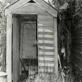Dunny, Eumundi, 1980s