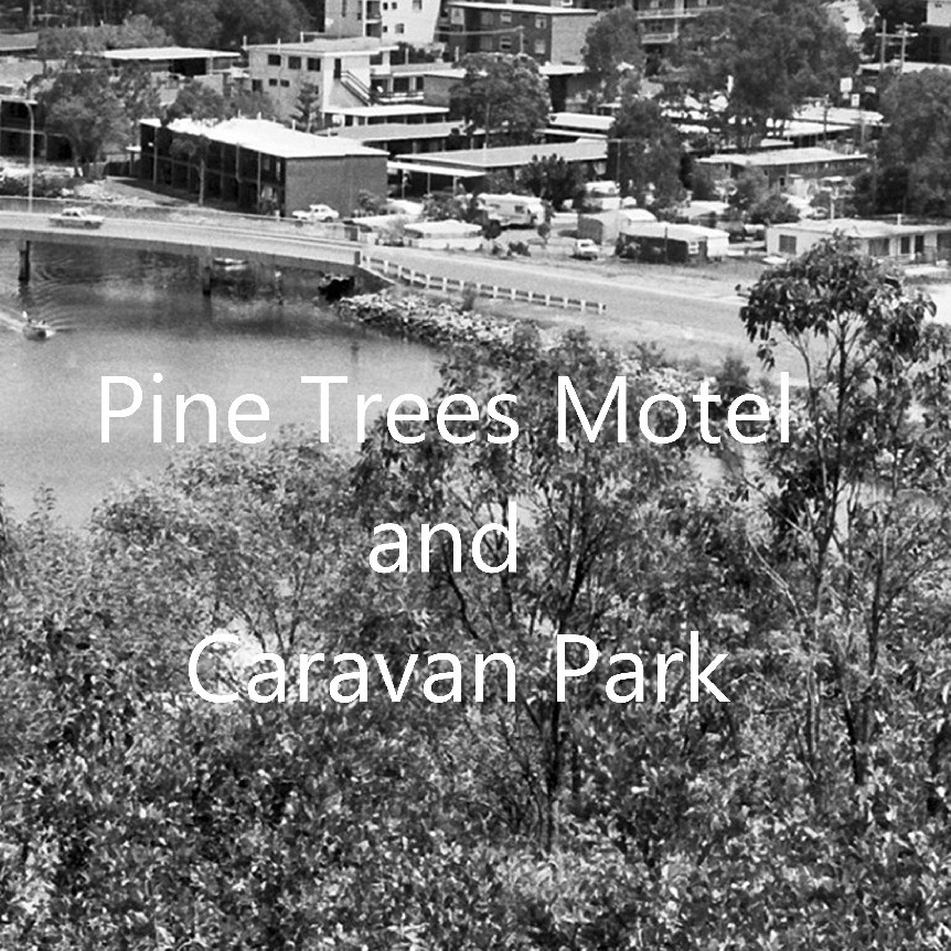 Pine Trees Motel and Caravan Park