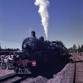 Steam train, Festival of Waters event, Pomona Railway Station, Pomona, 1 September 1979