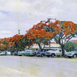 Poinciana Avenue, Tewantin, 1960s