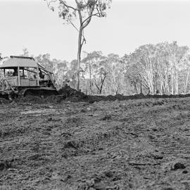 Land development, Weyba Creek, Noosaville, 23 August 1972