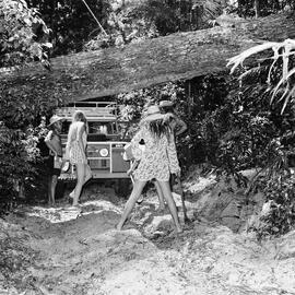 Digging to go under, access track, Double Island Point, Great Sandy National Park, Cooloola, 1970s