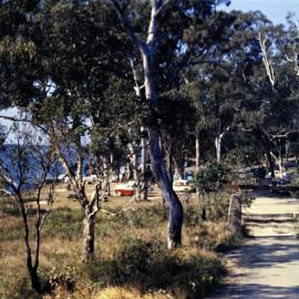 Entrance, Noosa National Park, Park Road, Noosa Heads, 1970s