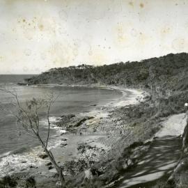Coastal track, Noosa National Park, 1956