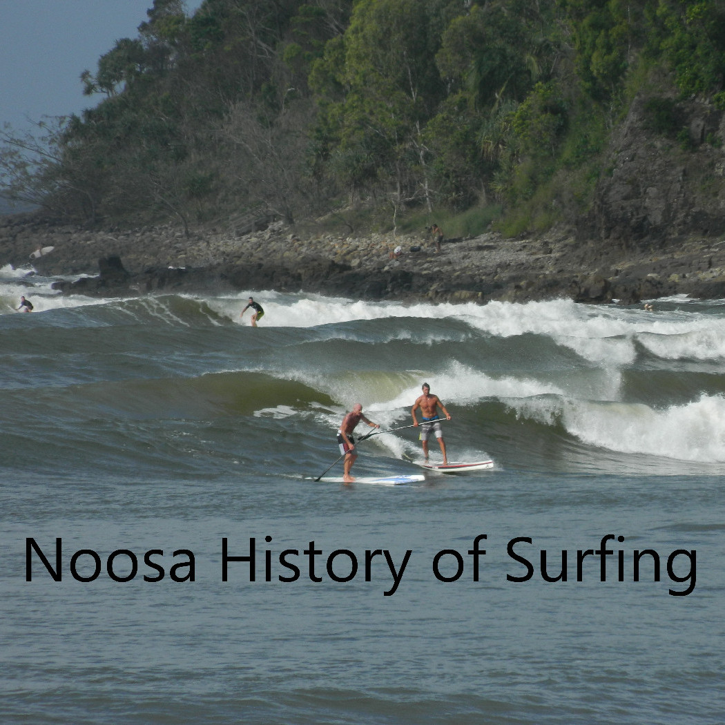 Noosa History of Surfing
