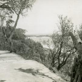 Coastal track, Noosa National Park, Noosa Heads, ca 1940s