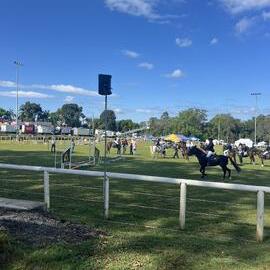 Equestrian competitors, Noosa Country Show, Pomona, 14 September 2024