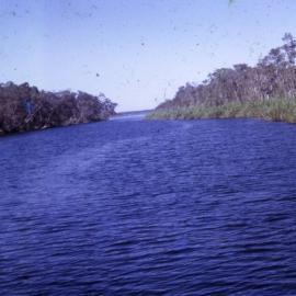 Fig Tree Lake, Noosa River, views upstream to Lake Cootharaba, Noosa North Shore, May 1973