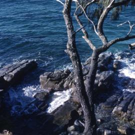 Boiling Pot, Coastal Walk, Noosa National Park, Noosa Heads, ca 1980s