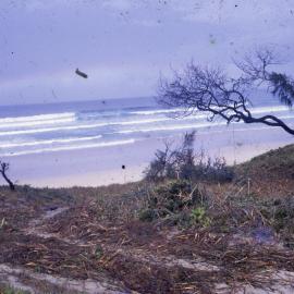 Beach access, Noosa North Shore, August 1971