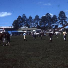 Equestrian competitors, Noosa Country Show, Pomona, September 1978
