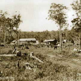 Early settlement, Maple Street, Cooroy, early 1910