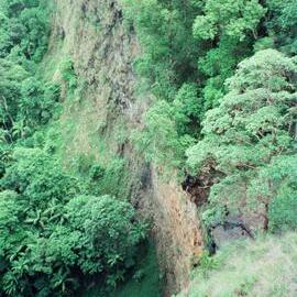 Aerial view, Noosa Hinterland, 28 February 2002