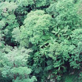 Aerial view, Noosa Hinterland, 28 February 2002