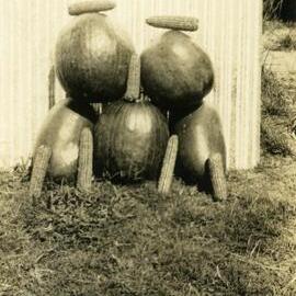 Corn and melons, Lake Cooroibah, Tewantin, ca 1930s
