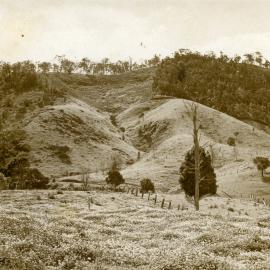 Farmland views