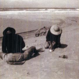 Fish filleting, Noosa North Shore