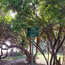 Beach direction, Noosa Main Beach, Noosa Heads, 17 March 2025