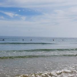 Over 60's second heat, surfing contest, Noosa Festival of Surfing, Noosa Main Beach, Noosa Heads, 17 March 2025