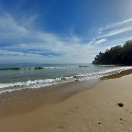 Competitors, Noosa Festival of Surfing, Noosa Main Beach, Noosa Heads, 17 March 2025