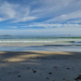 Competitors, Noosa Festival of Surfing, Noosa Main Beach, Noosa Heads, 17 March 2025