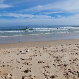 Competitors, Noosa Festival of Surfing, Noosa Main Beach, Noosa Heads, 17 March 2025