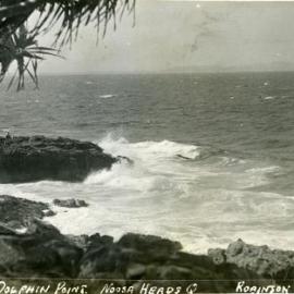 Dolphin Point, Noosa National Park, Noosa Heads, 1947 
