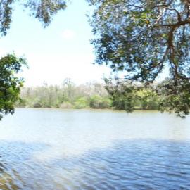 Johns Landing Campground, 118 Johns Road, Cooroibah, 22 November 2017