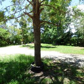 Johns Landing Campground, 118 Johns Road, Cooroibah, 22 November 2017