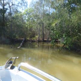 River entrance, Tronson's Drain, Noosa River, Cooroibah, 2 October 2020