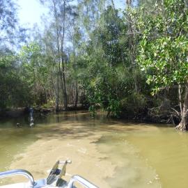 Exiting Tronson's Drain, Noosa River, Cooroibah, 2 October 2020