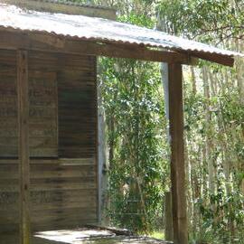 Harry Spring's Hut, Harry Hut Road, Como, 2 October 2020