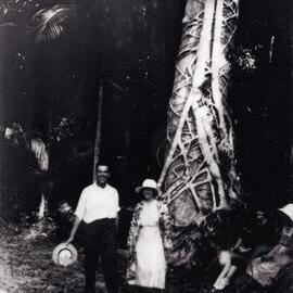 Daytrippers, Noosa Heads, December 1932