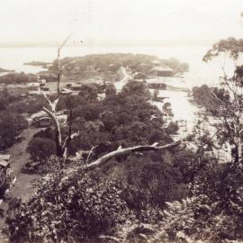 Early views Noosa Heads