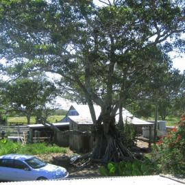 Farm sheds, 'Ringwood', Ringtail Creek, Cooroibah