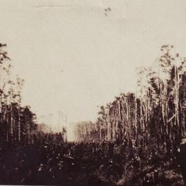 Drain clearing, Tronson's Canal, Cooroibah, 1923