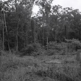 Bushland, Pomona, ca 1980s