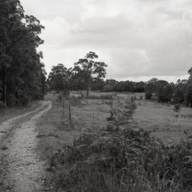 Farmland, Pomona, ca 1980s