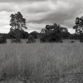 Farmland, Pomona, ca 1980s