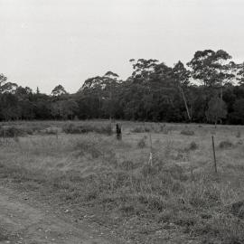 Farmland, Pomona, ca 1980s