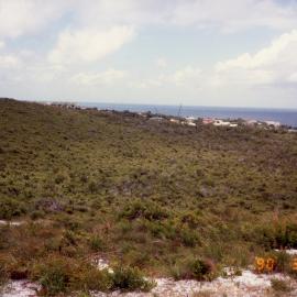 Dwellings, Sunshine Beach, 21 March 1990