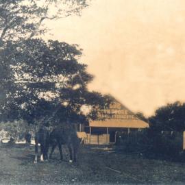 Fig Tree & Post Office, Tewantin, ca 1920s