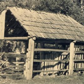 Cow bales, below Bay View Guesthouse, Noosa Heads