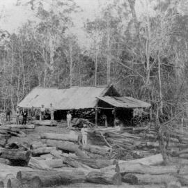 Clugston & Ireland's sawmill, East Cooroy, ca 1910