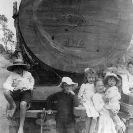 Giant logged tree, Cooran Railway Station, Cooran, ca 1918