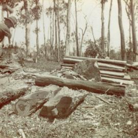 Edgar Playford, timber splitting, Pomona
