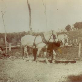 Edgar Playford, field work, Pomona, ca 1928
