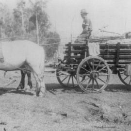 Edgar Playford, Pomona