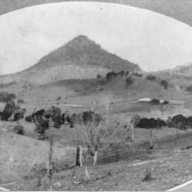 Pinbarren Valley, Mt. Pinbarren, 1931