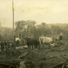 Farmland, Pomona, ca 1920s